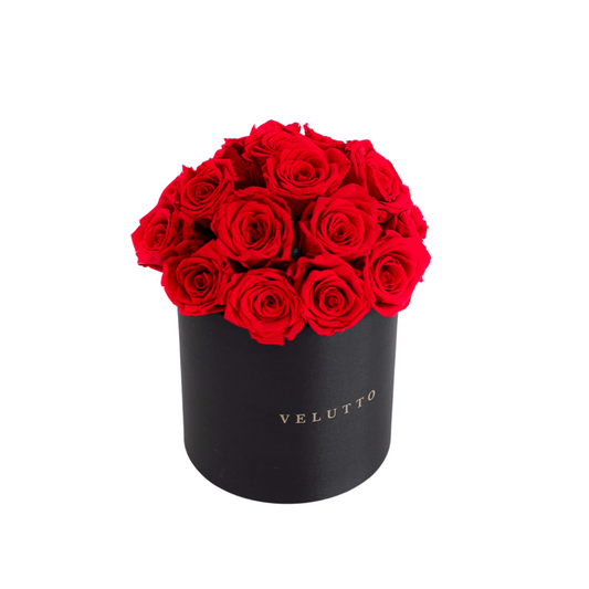 [Velutto] Sutton Place + round box satin + dome roses