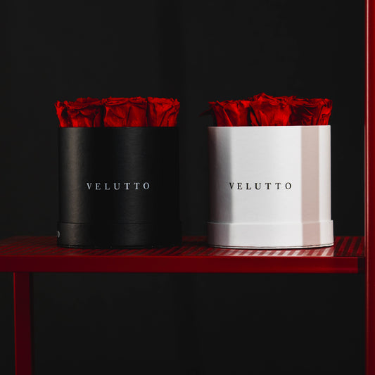 [Designer's Choice] [Velutto] + 88 Boutique + Round Box