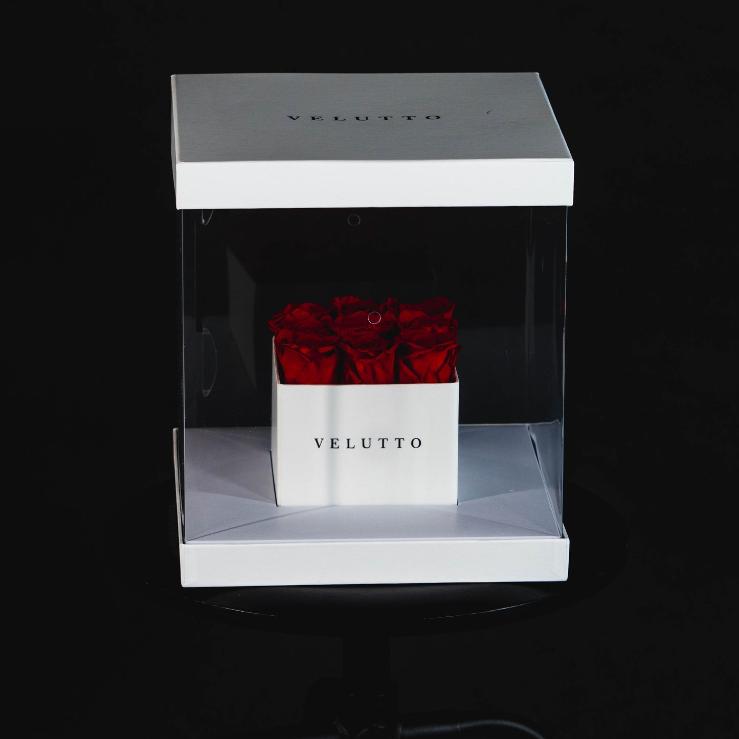 [NEW] [Velutto] + Times Square + Square Display Case