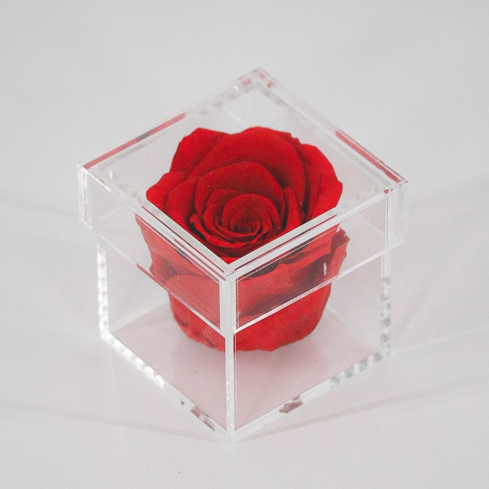 [NEW] [Velutto] + One Love + Single Rose in Crystal Box