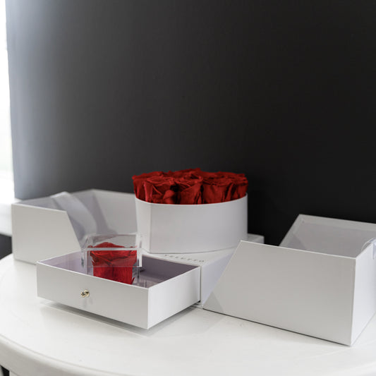 [NEW] [Velutto] + Amore Jewelry Box + Heart Box with Pull-Out Compartment