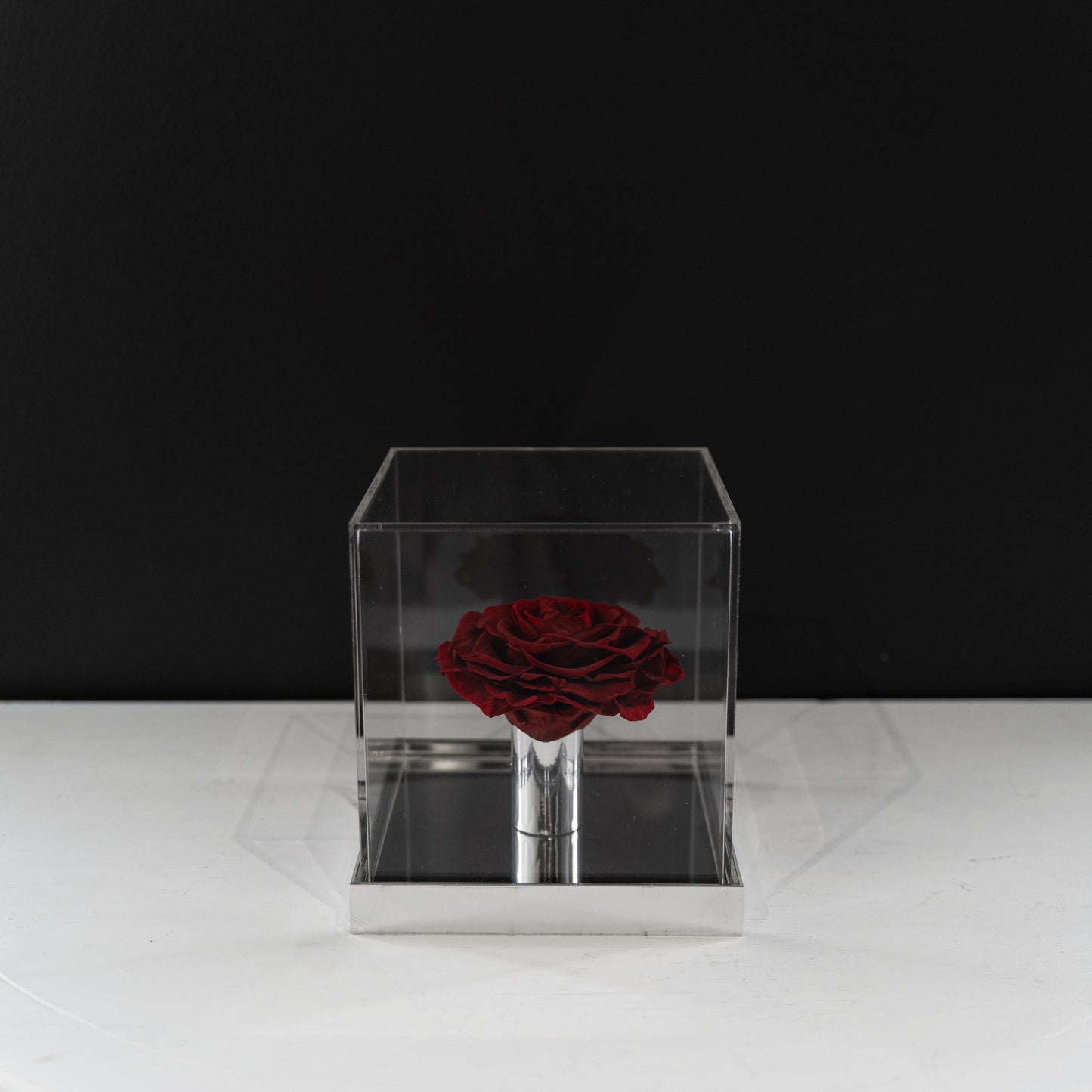 [NEW] [Velutto] + Westwood + Crystal Mirror Display Case + Single Rose