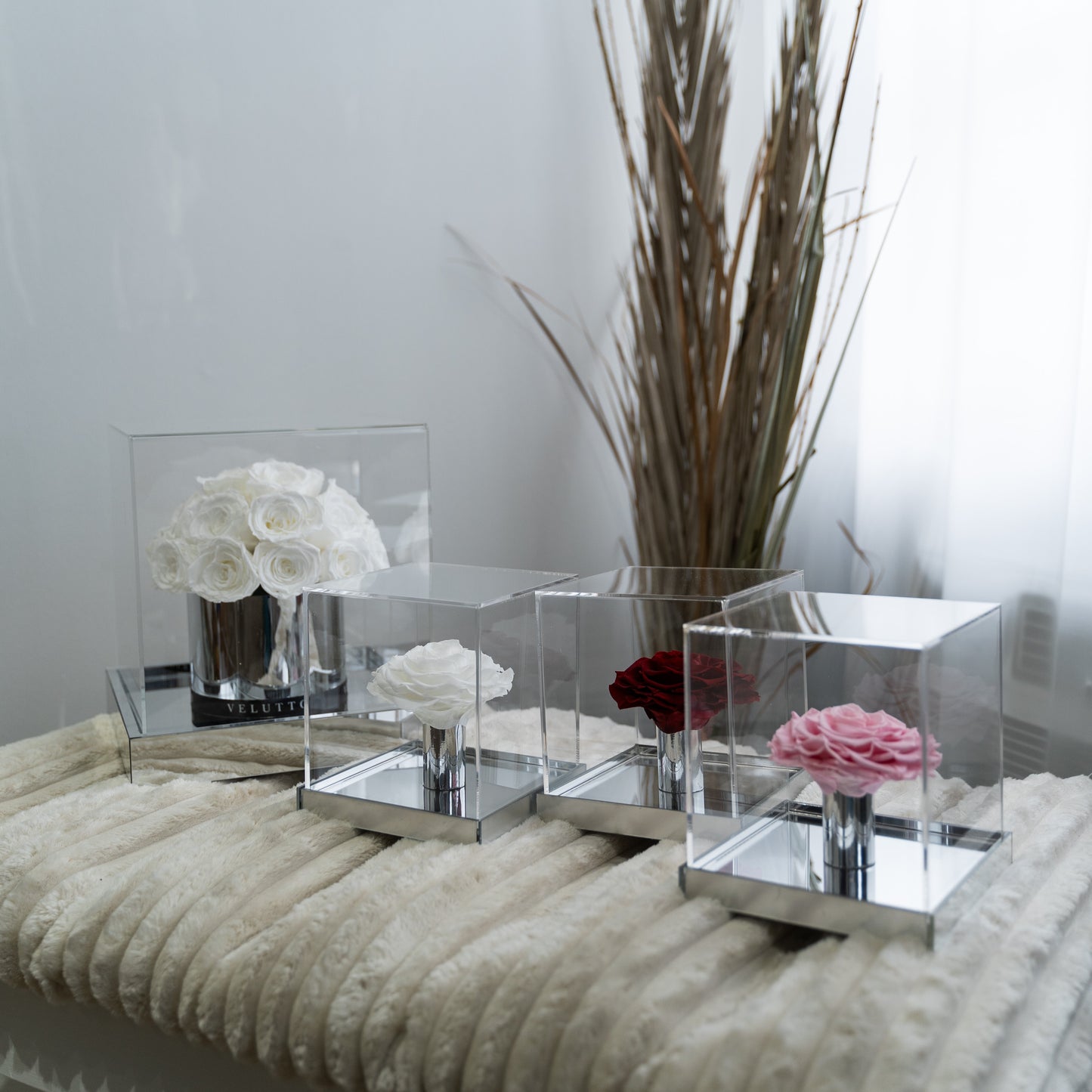 [NEW] [Velutto] + Westwood + Crystal Mirror Display Case + Single Rose