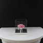 [NEW] [Velutto] + Westwood + Crystal Mirror Display Case + Single Rose