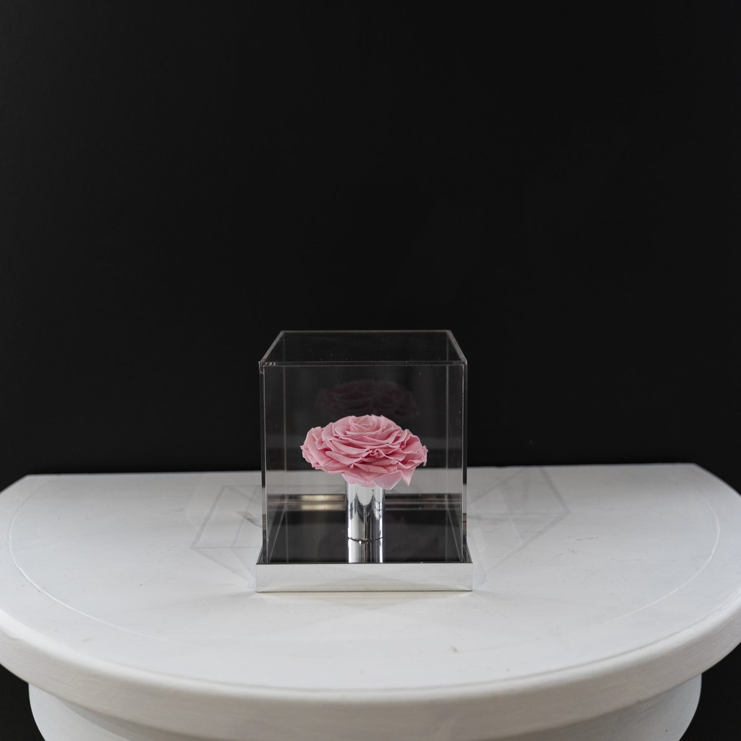 [NEW] [Velutto] + Westwood + Crystal Mirror Display Case + Single Rose