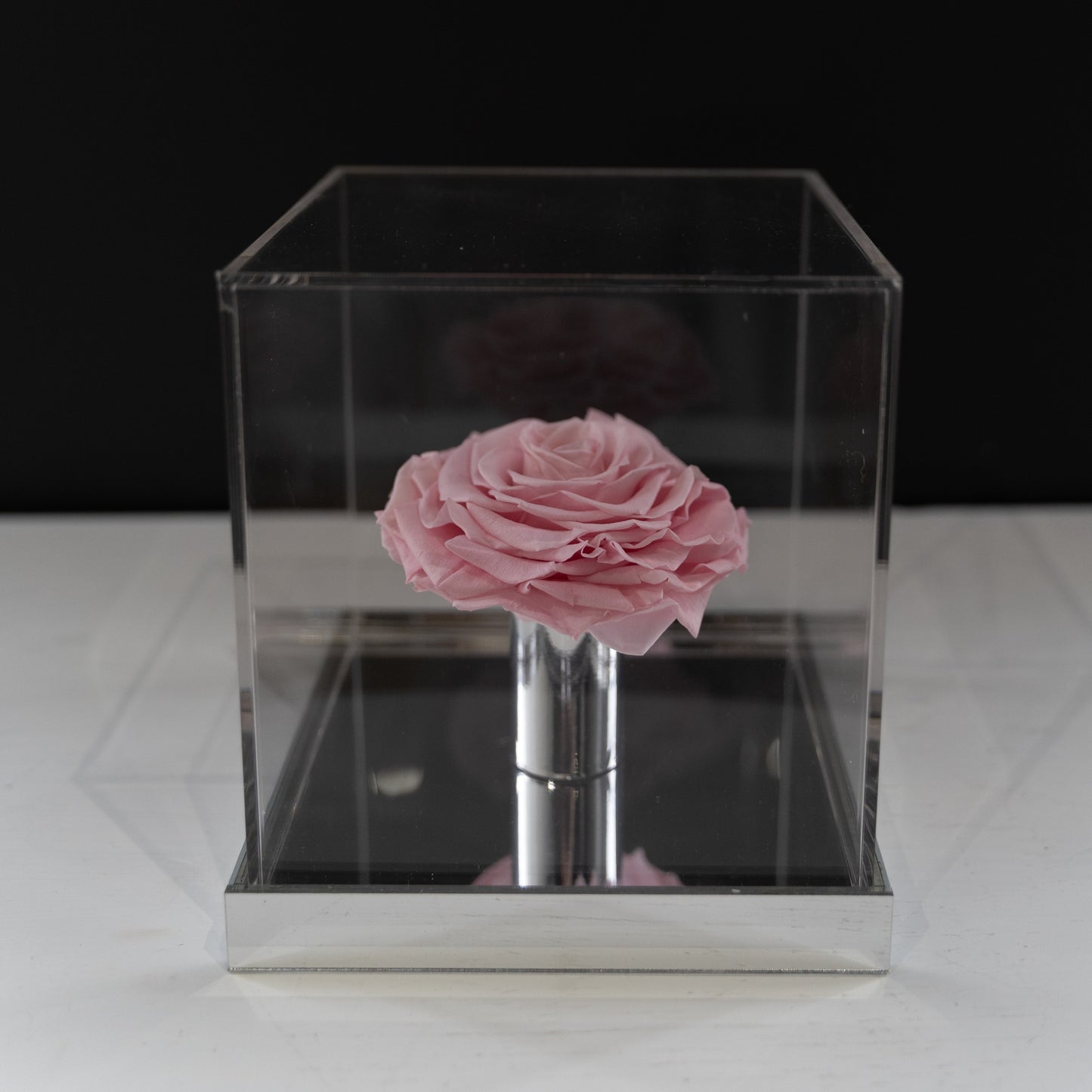 [NEW] [Velutto] + Westwood + Crystal Mirror Display Case + Single Rose