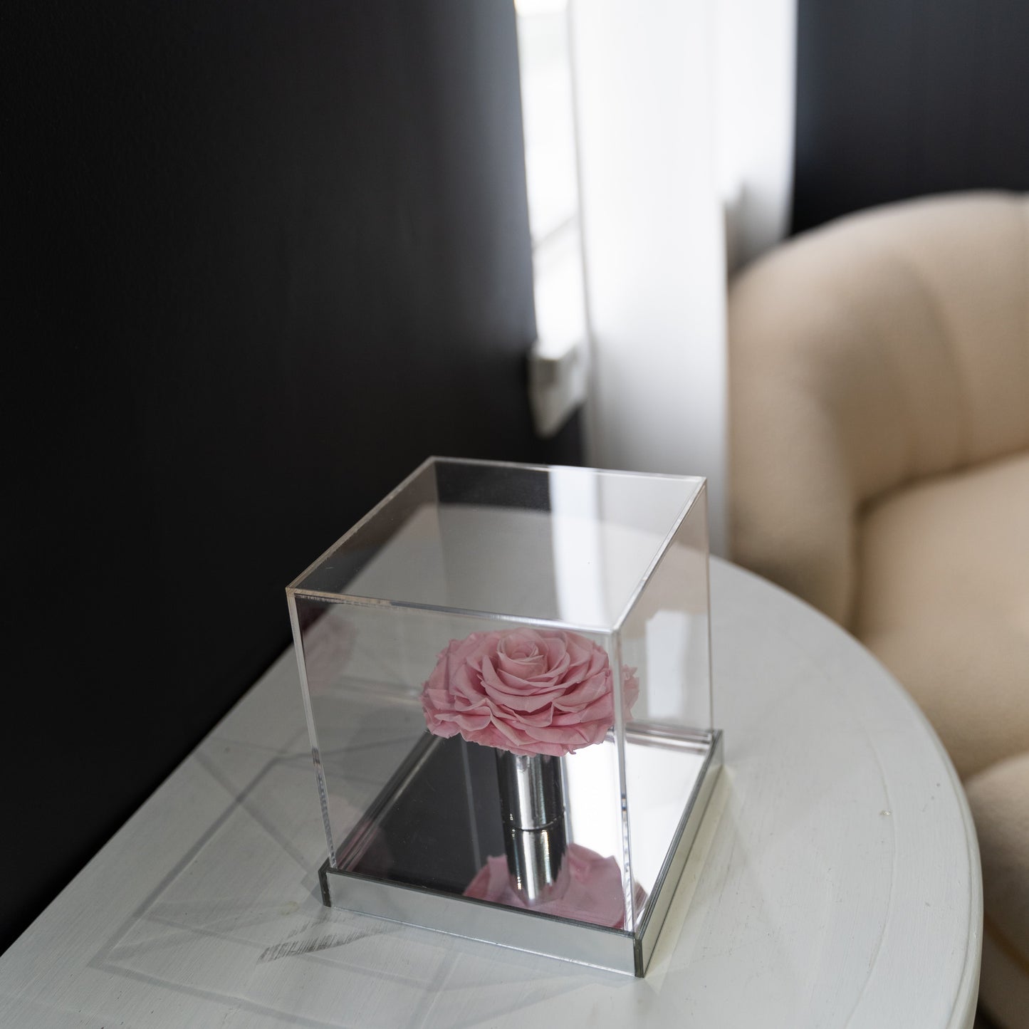 [NEW] [Velutto] + Westwood + Crystal Mirror Display Case + Single Rose