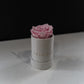 [NEW] [Velutto] + Legacy + Single Rose in Velvet Box