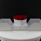 [NEW] [Velutto] + Amore Jewelry Box + Heart Box with Pull-Out Compartment