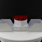 [Designer's Choice] [Velutto] + Amore Jewelry Box + Heart Box with Pull-Out Compartment