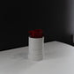 [NEW] [Velutto] + Legacy + Single Rose in Velvet Box