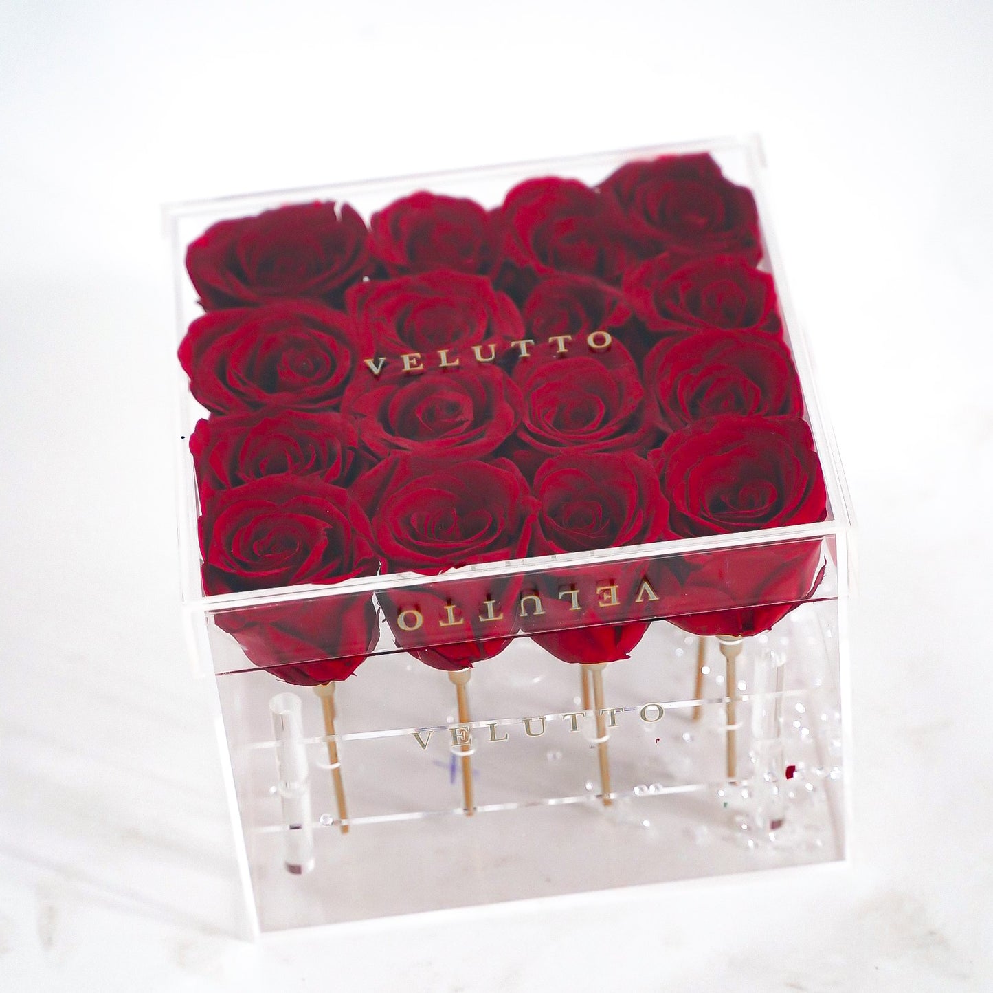 [Velutto] Signature Crystal Box + forever roses + display