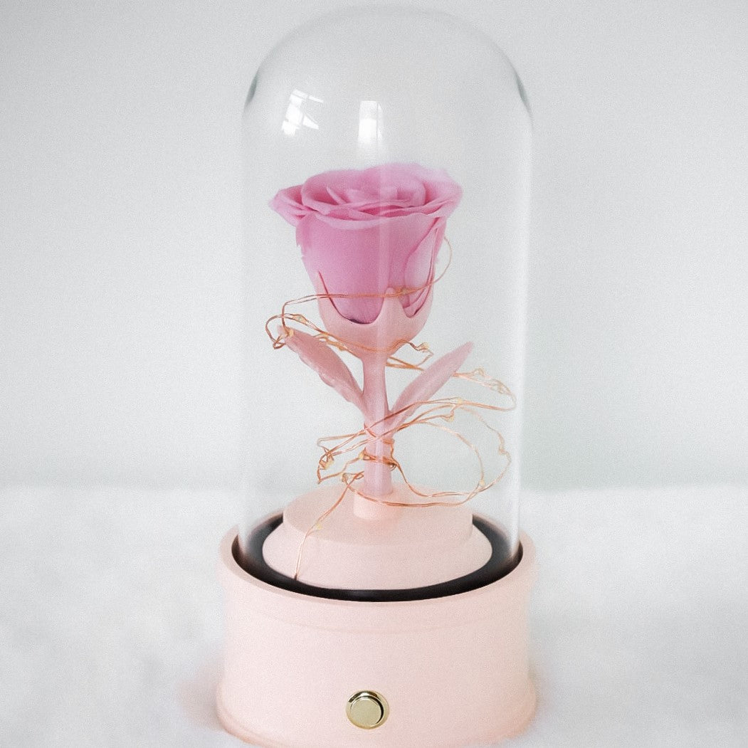 [Music Rose Box] pink base + pink rose + bluetooth speaker, wireless