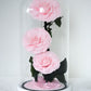 [3 Eternity Roses In Glass Dome]