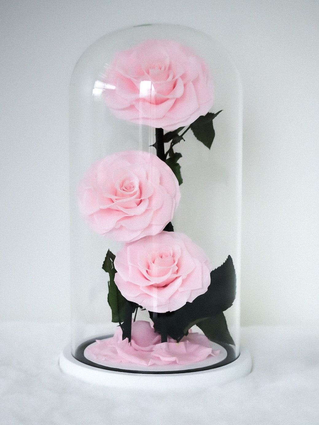 [3 Eternity Roses In Glass Dome]