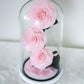 [3 Eternity Roses In Glass Dome]