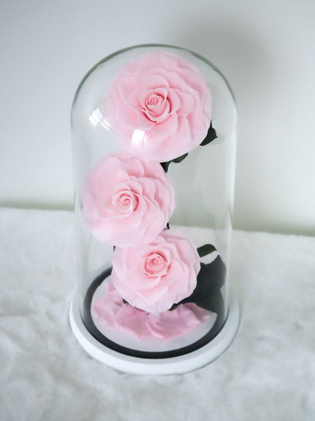 [3 Eternity Roses In Glass Dome]