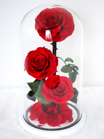 [3 Eternity Roses In Glass Dome]