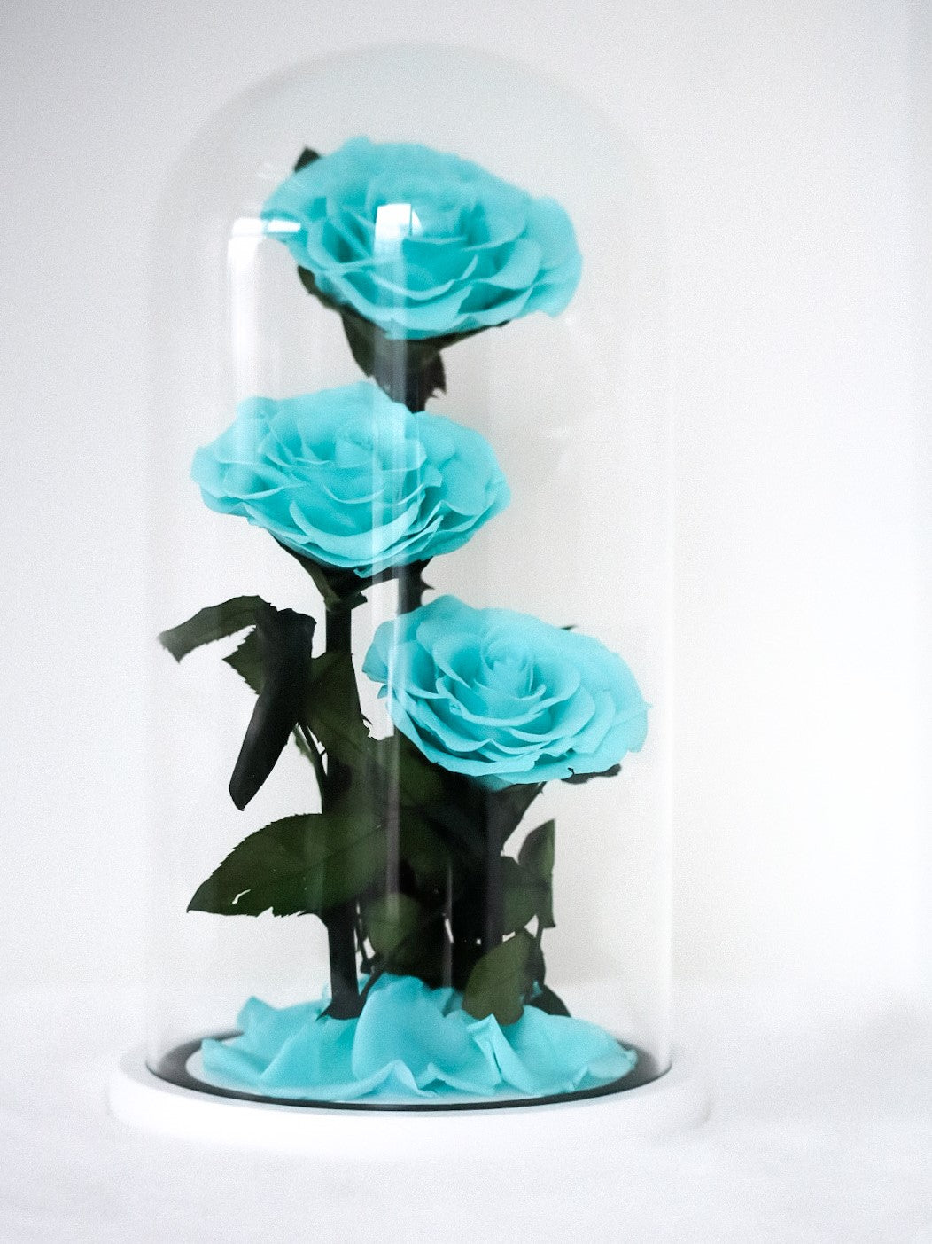 [3 Eternity Roses In Glass Dome]