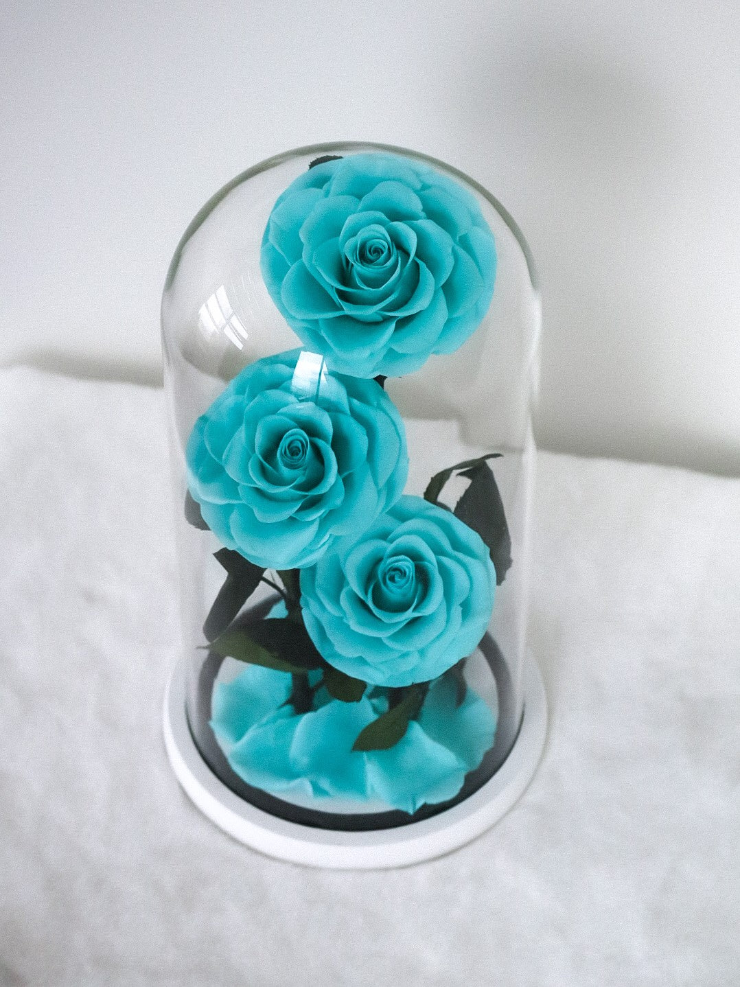 [3 Eternity Roses In Glass Dome]